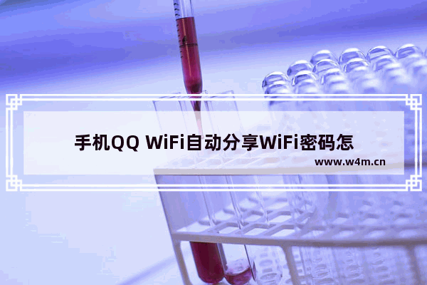 手机QQ WiFi自动分享WiFi密码怎么取消