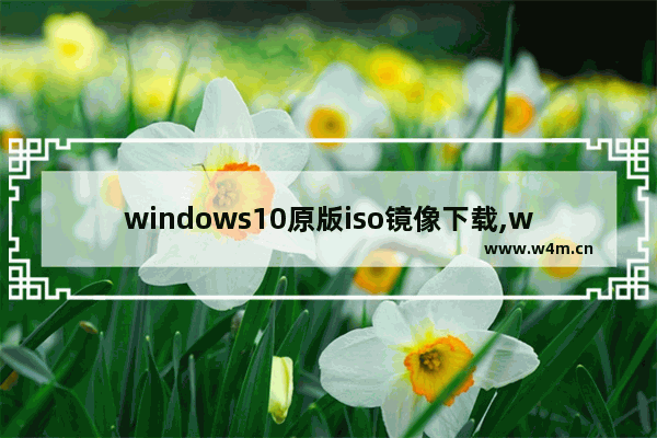 windows10原版iso镜像下载,windows10镜像iso文件下载