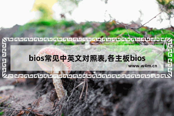 bios常见中英文对照表,各主板bios设置英文对照表