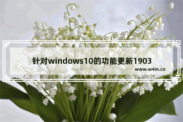 针对windows10的功能更新1903,window10更新1903