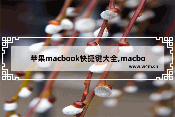 苹果macbook快捷键大全,macbook键盘快捷键