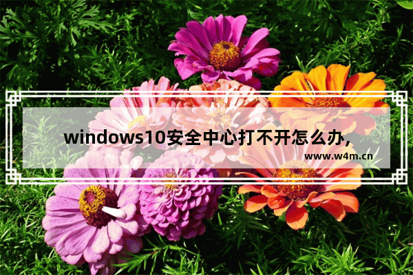 windows10安全中心打不开怎么办,win11没有安全中心