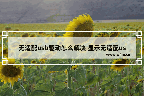 无适配usb驱动怎么解决 显示无适配usb驱动