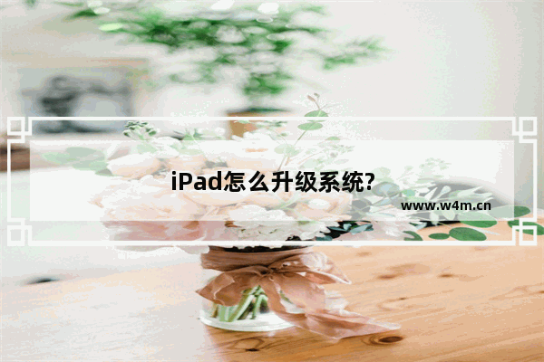 iPad怎么升级系统?