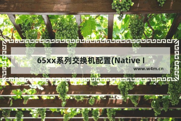 65xx系列交换机配置(Native IOS)(5)