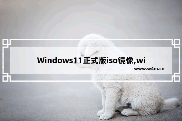 Windows11正式版iso镜像,windows 11 iso下载