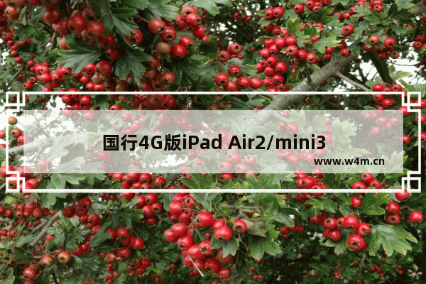 国行4G版iPad Air2/mini3常见问题解答汇总