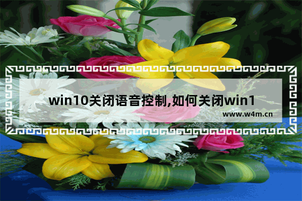 win10关闭语音控制,如何关闭win10语音识别