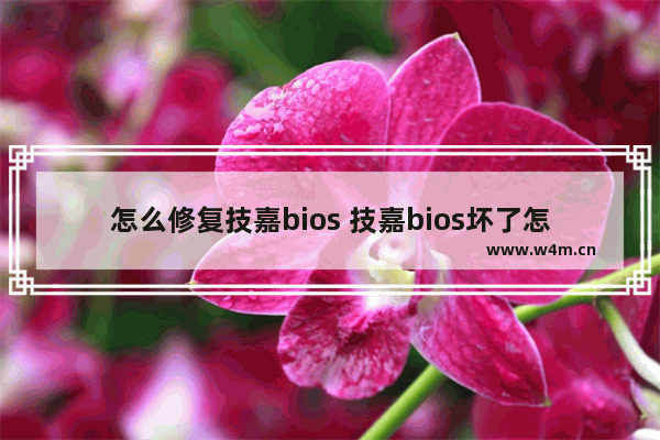 怎么修复技嘉bios 技嘉bios坏了怎么办