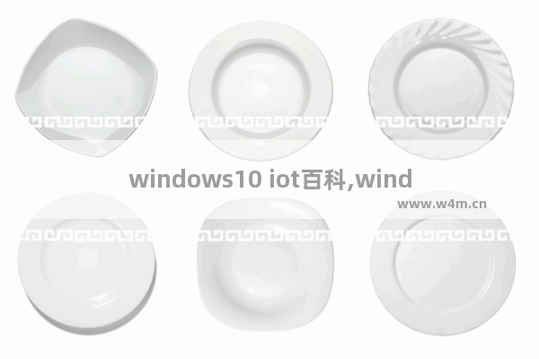 windows10 iot百科,windows 10 iot core对硬件的要求