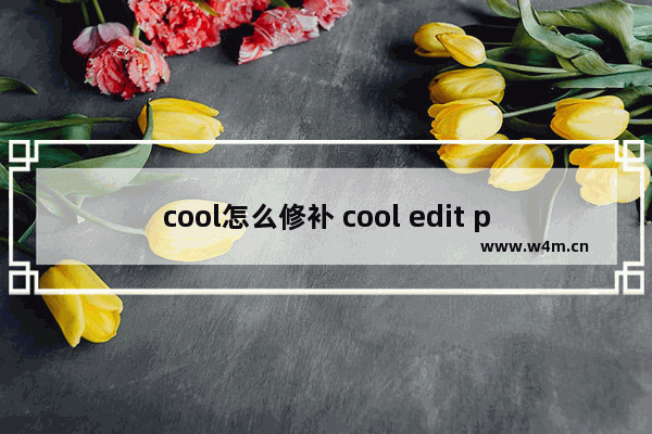 cool怎么修补 cool edit pro修音教程