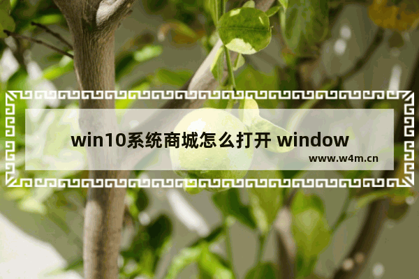 win10系统商城怎么打开 windows10商店怎么打开