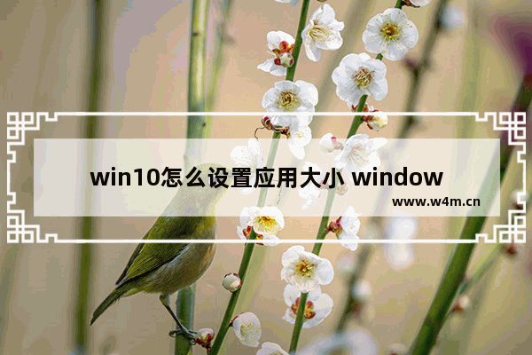 win10怎么设置应用大小 window10设置应用