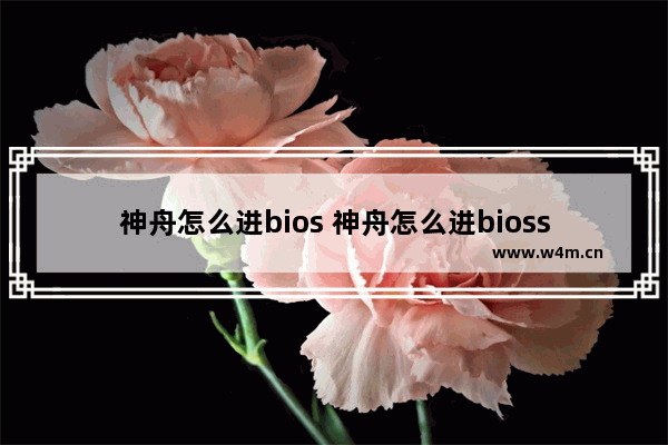 神舟怎么进bios 神舟怎么进bioss