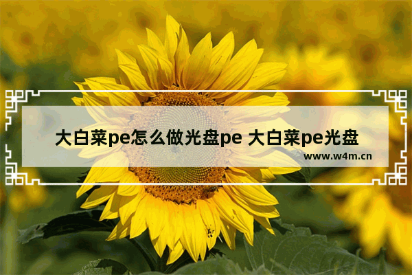 大白菜pe怎么做光盘pe 大白菜pe光盘制作