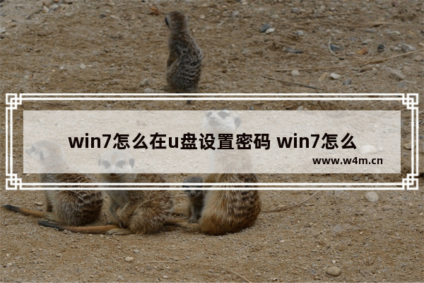 win7怎么在u盘设置密码 win7怎么在u盘设置密码启动