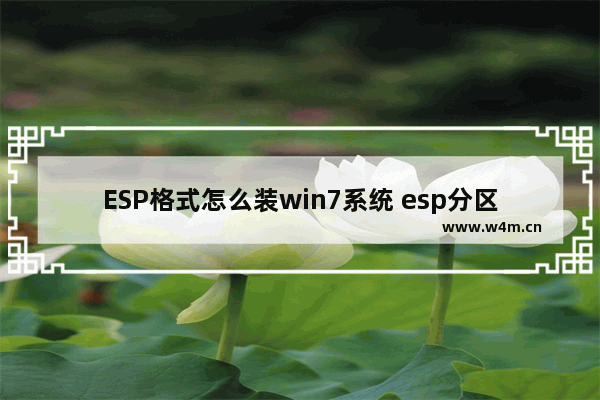 ESP格式怎么装win7系统 esp分区怎么安装win7