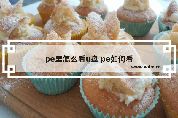 pe里怎么看u盘 pe如何看