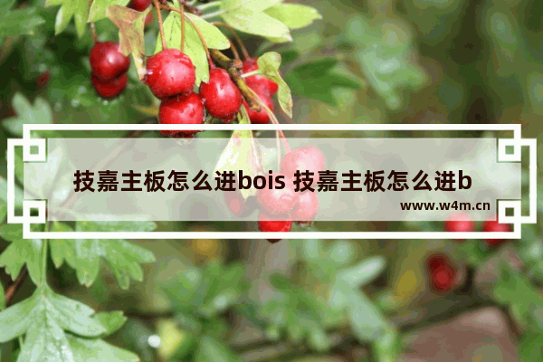 技嘉主板怎么进bois 技嘉主板怎么进bos