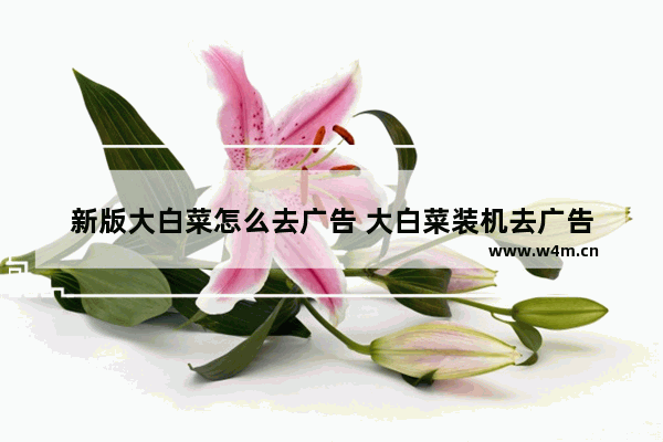 新版大白菜怎么去广告 大白菜装机去广告