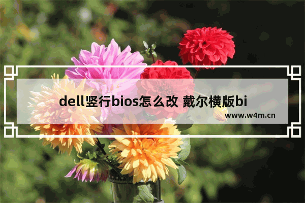 dell竖行bios怎么改 戴尔横版bios界面