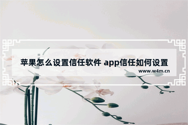 苹果怎么设置信任软件 app信任如何设置在哪苹果13