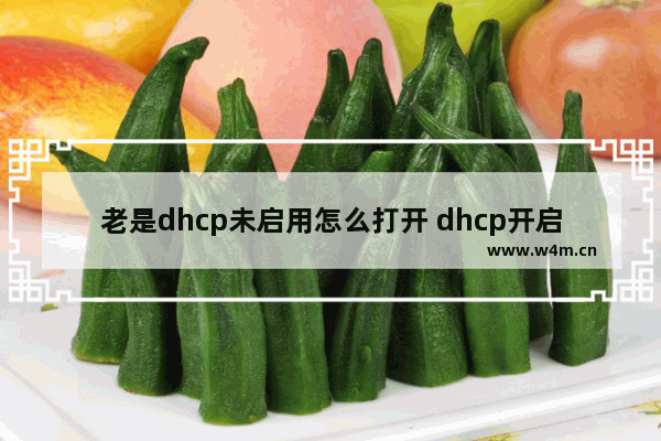 老是dhcp未启用怎么打开 dhcp开启了还是显示未开启