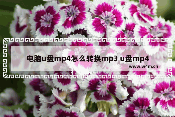 电脑u盘mp4怎么转换mp3 u盘mp4转换成mp3