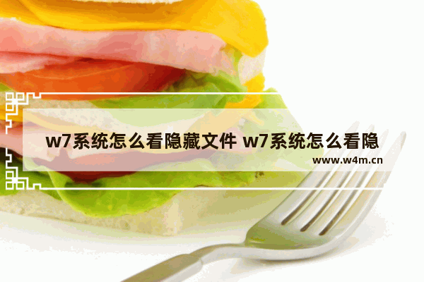 w7系统怎么看隐藏文件 w7系统怎么看隐藏文件夹