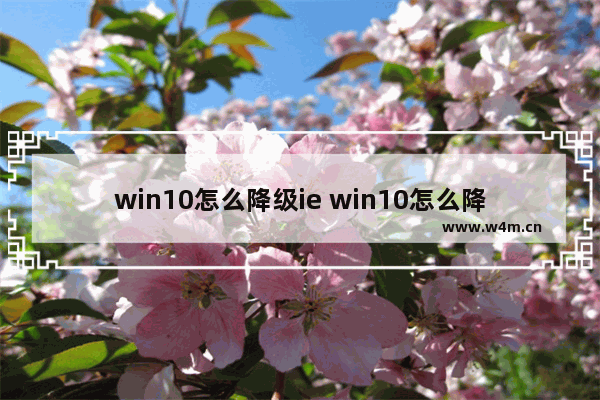 win10怎么降级ie win10怎么降级1909