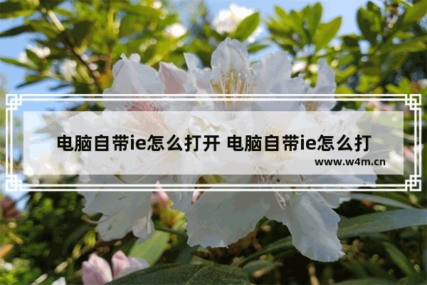 电脑自带ie怎么打开 电脑自带ie怎么打开文件