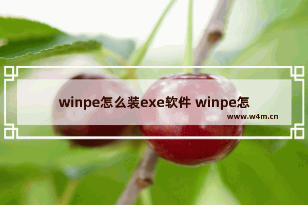 winpe怎么装exe软件 winpe怎么安装xp系统