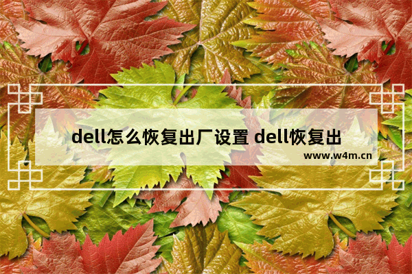 dell怎么恢复出厂设置 dell恢复出厂设置密码