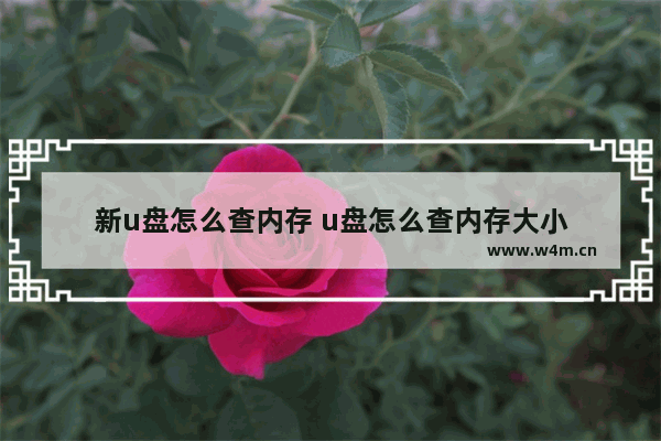 新u盘怎么查内存 u盘怎么查内存大小