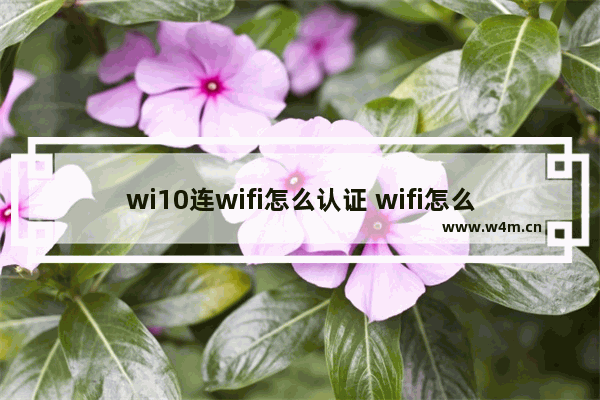 wi10连wifi怎么认证 wifi怎么认证