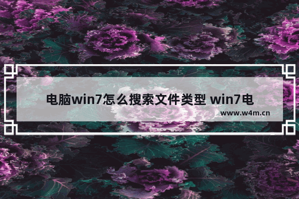 电脑win7怎么搜索文件类型 win7电脑如何搜索文件