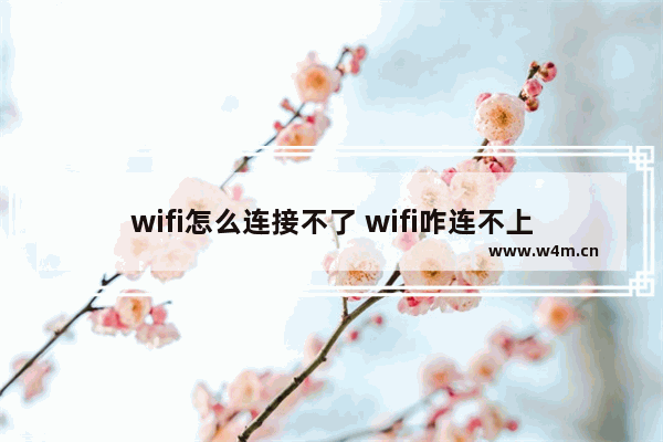 wifi怎么连接不了 wifi咋连不上