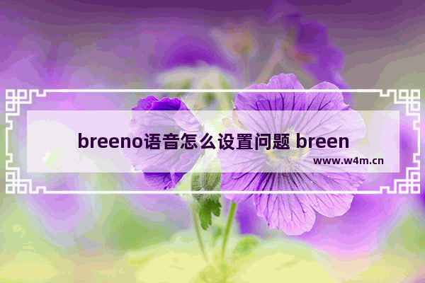 breeno语音怎么设置问题 breeno语音权限在哪里