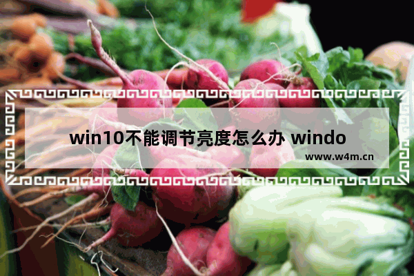 win10不能调节亮度怎么办 window10不能调节亮度