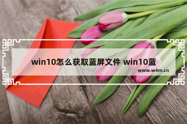 win10怎么获取蓝屏文件 win10蓝屏文件如何查看