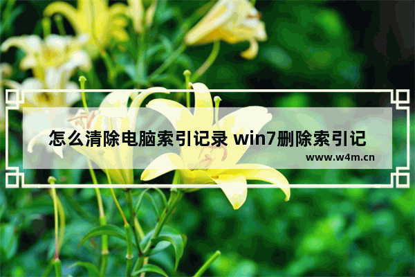 怎么清除电脑索引记录 win7删除索引记录