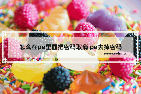 怎么在pe里面把密码取消 pe去掉密码