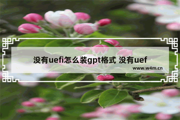 没有uefi怎么装gpt格式 没有uefi固件设置怎么进入bios