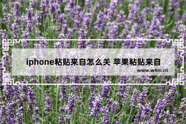 iphone粘贴来自怎么关 苹果粘贴来自怎么关