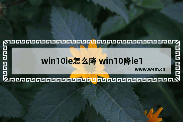 win10ie怎么降 win10降ie10