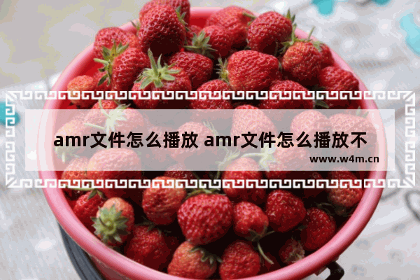 amr文件怎么播放 amr文件怎么播放不了