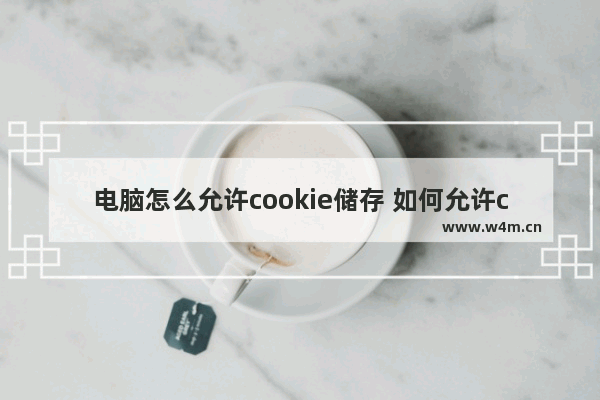 电脑怎么允许cookie储存 如何允许cookies在浏览器