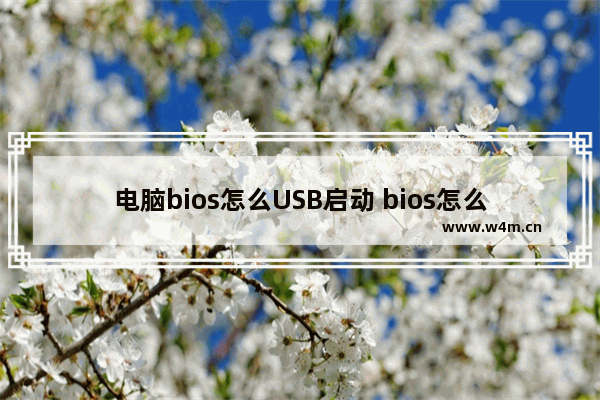 电脑bios怎么USB启动 bios怎么开usb启动