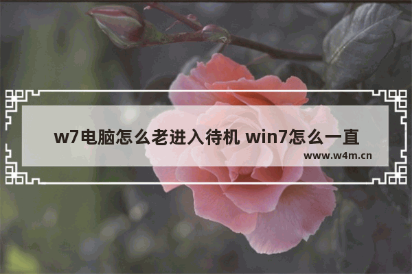 w7电脑怎么老进入待机 win7怎么一直待机