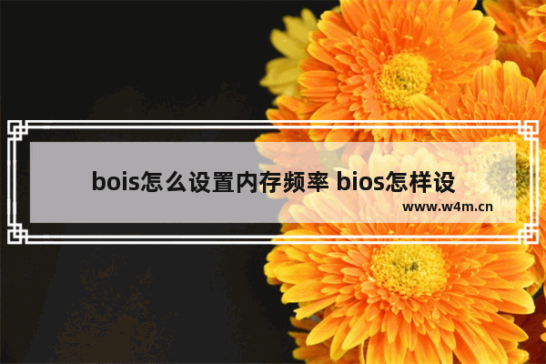 bois怎么设置内存频率 bios怎样设置内存频率